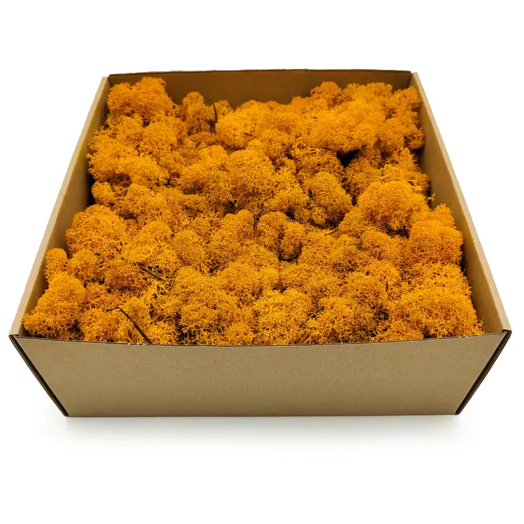 Ciemno żółty zblizenie 2.png