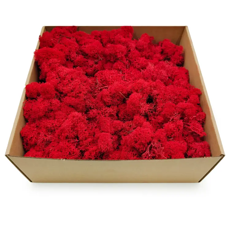 Czerwony zblizenie2.png