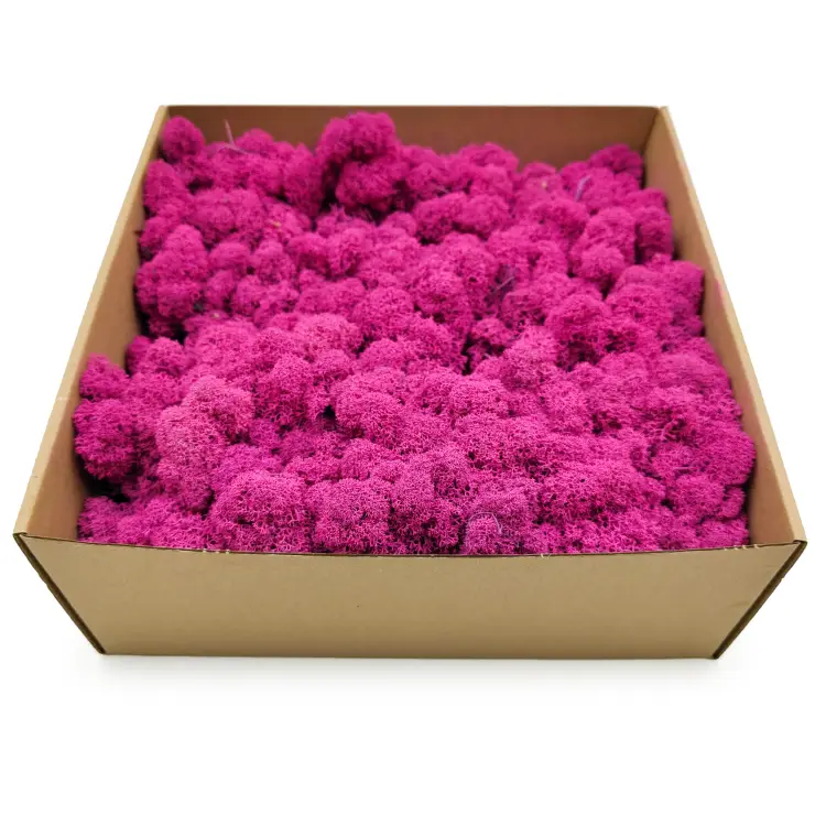 Fuksja zblizenie 2.png