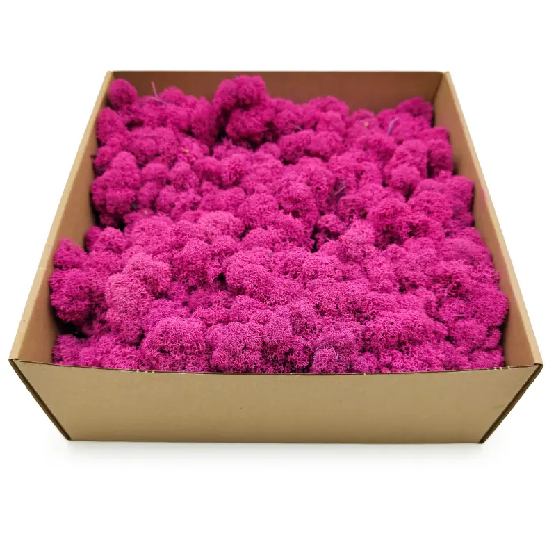 Fuksja zblizenie 2.png