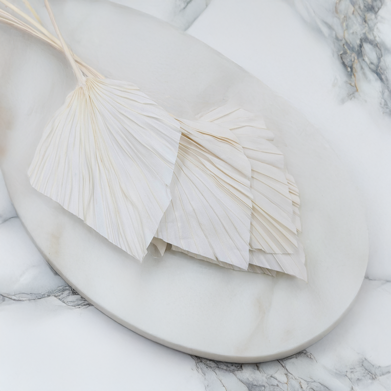 Palm spear Bielony 1.png