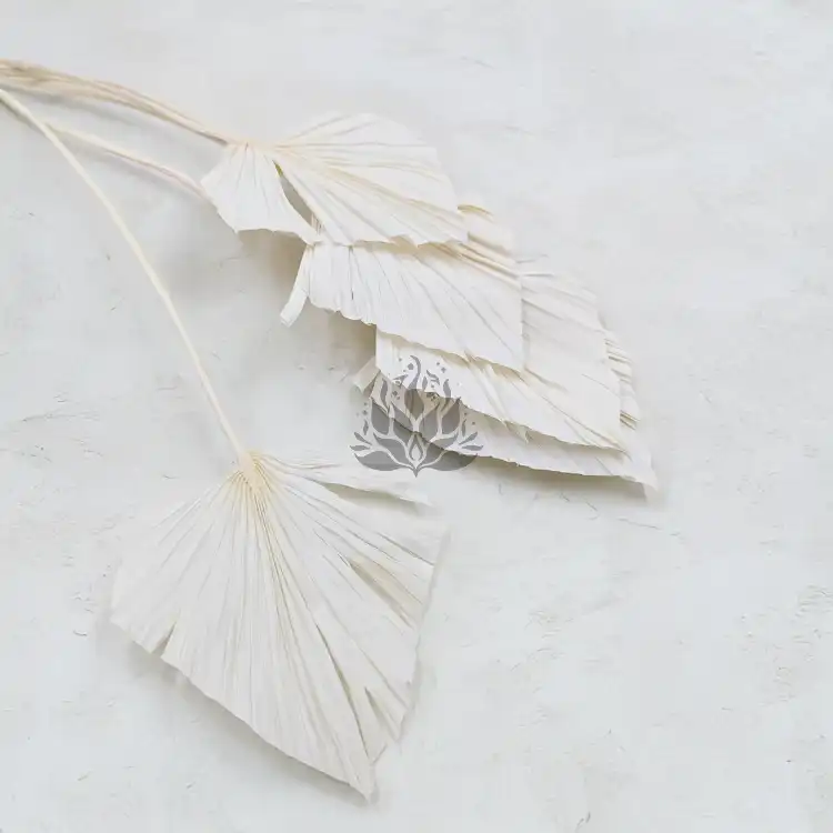 Palm spear Bielony 3.png
