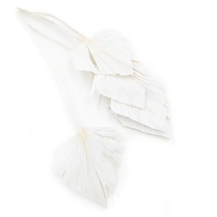 Palm Spear Bielony.png