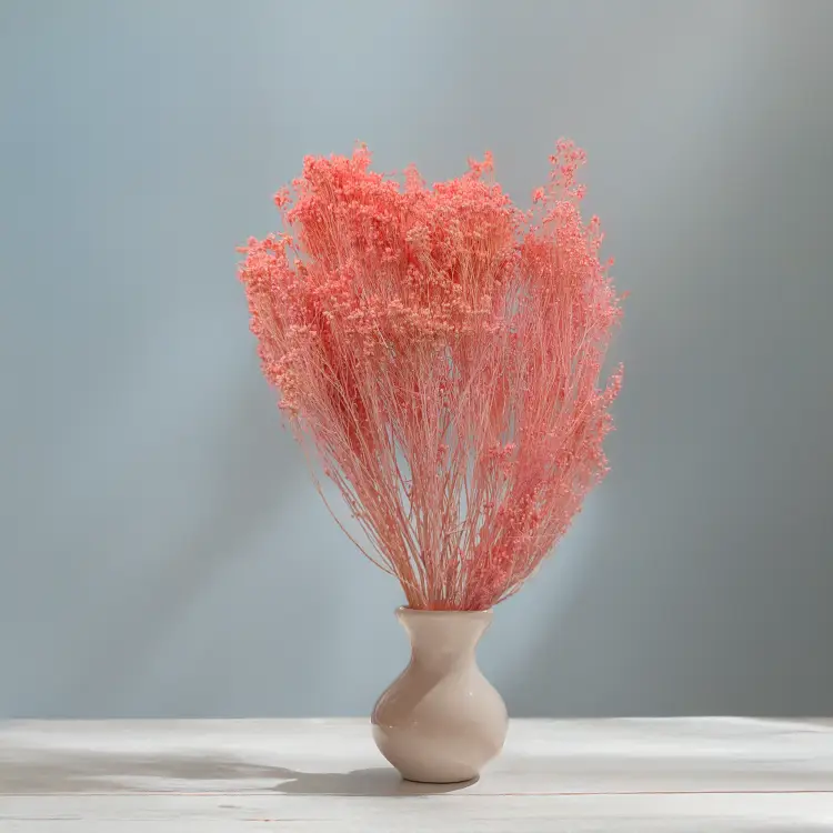 Broom Bloom Łosoś 3.png