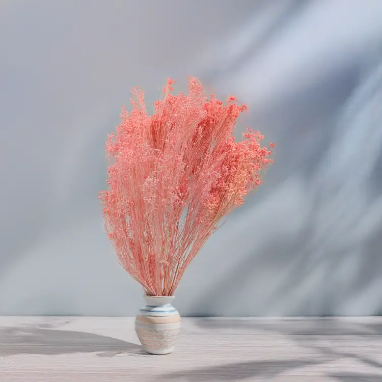 Broom Bloom Łosoś 4.png