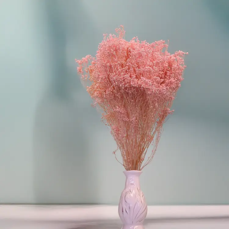 Broom Bloom perłowy róż 3.png