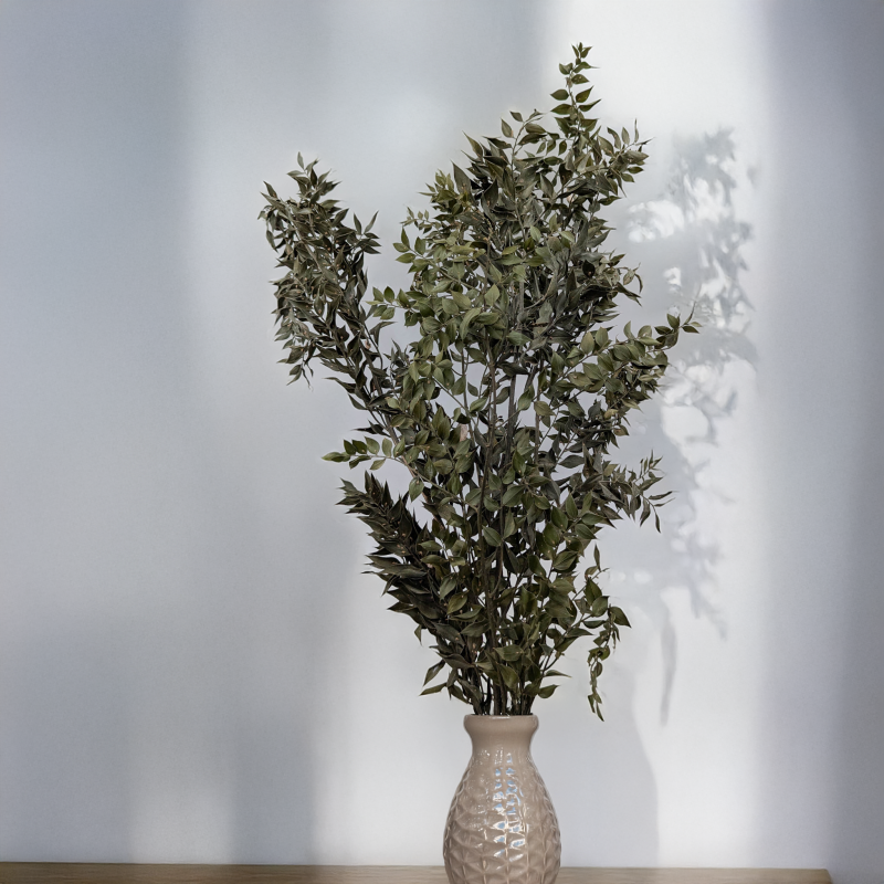 Ruskus suszony naturalny 100g 3.png