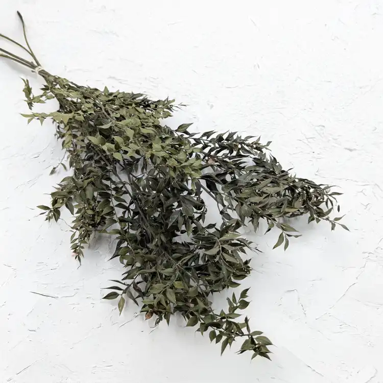 Ruskus suszony naturalny 100g.png