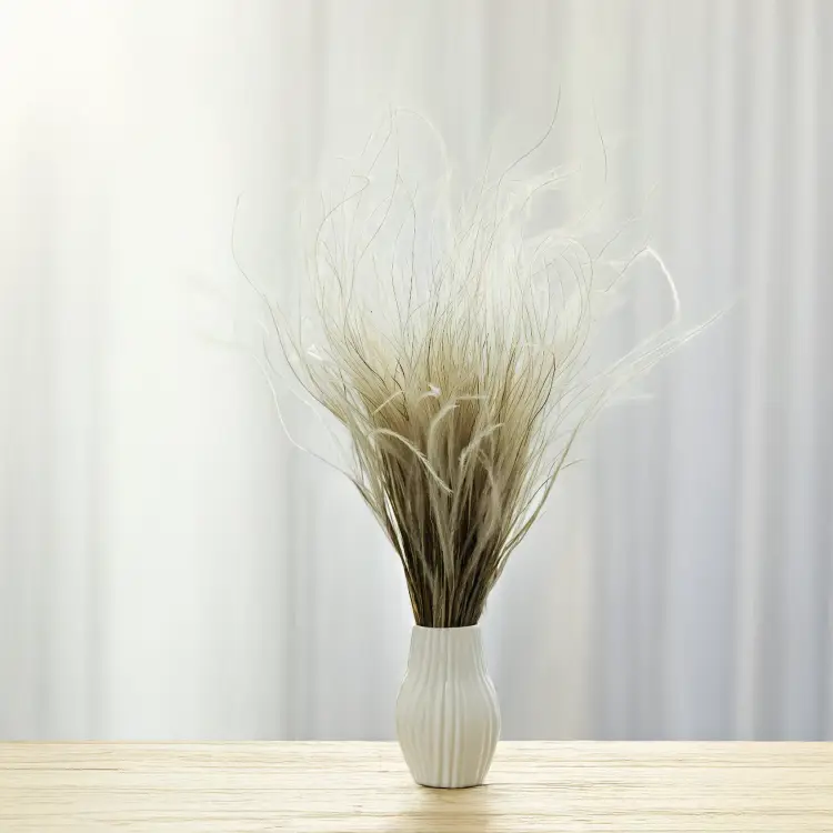 Stipa naturalna 3.png