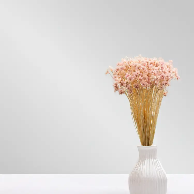 Hill Flower Lila.png