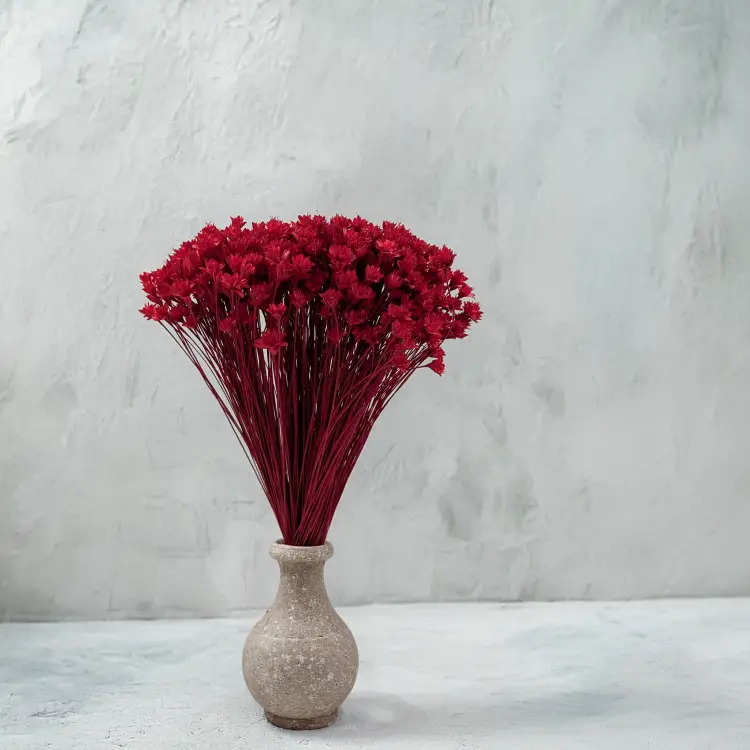 Hill Flower czerwony 4.png