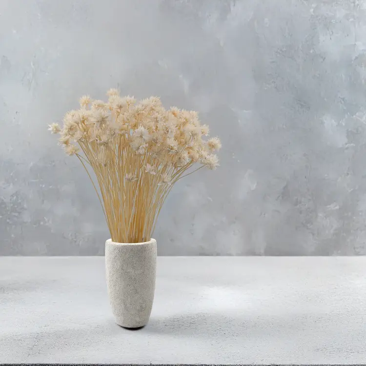 Hill Flower bielony 4.png