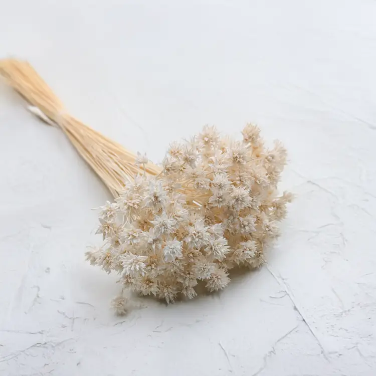 Hill Flower bielony.png