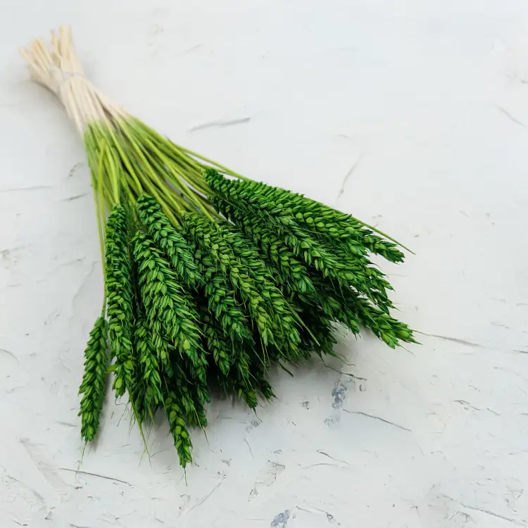 Pszenica butelkowa zieleń.png