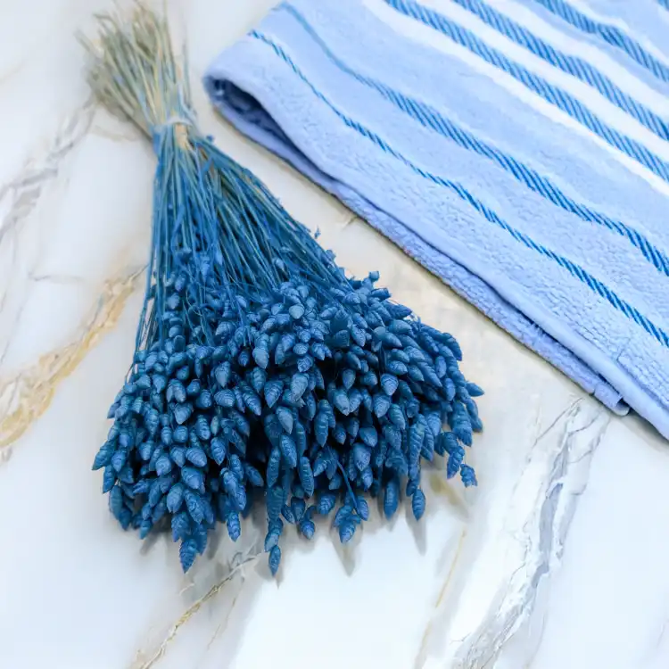Briza Maxima niebieska 1 (1).png