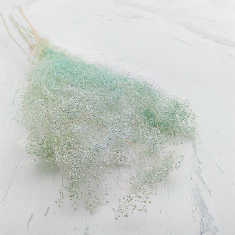 Gipsówka stabilizowana mini Miętowa.png