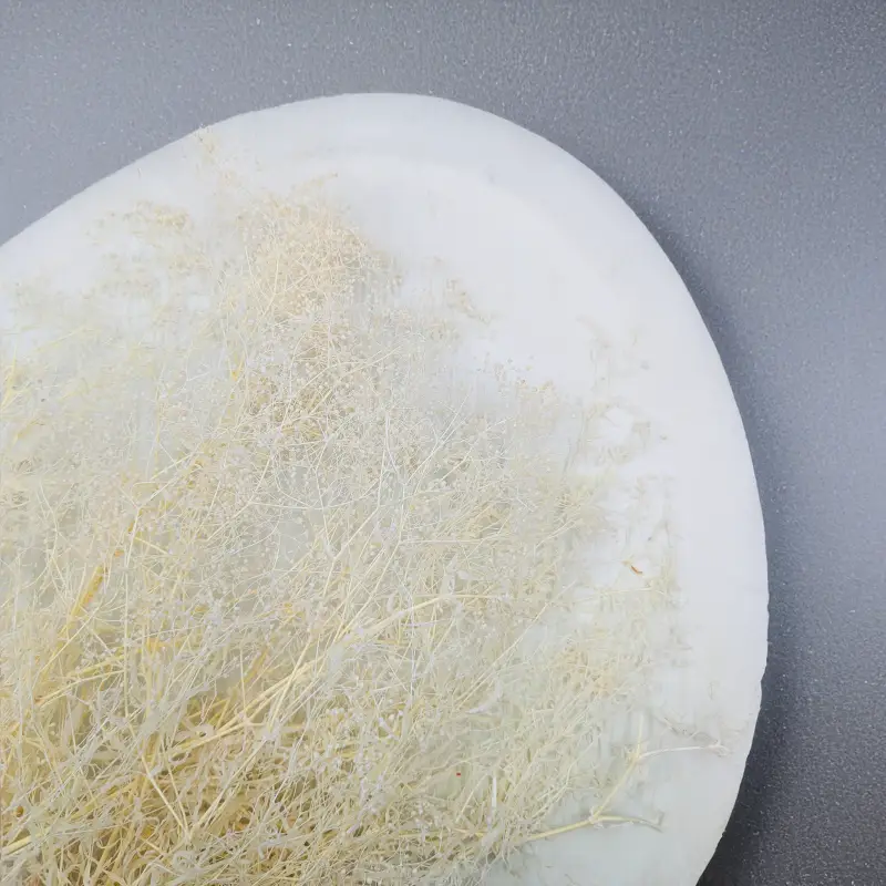 Gipsówka stabilizowana mini Bielona 2.png