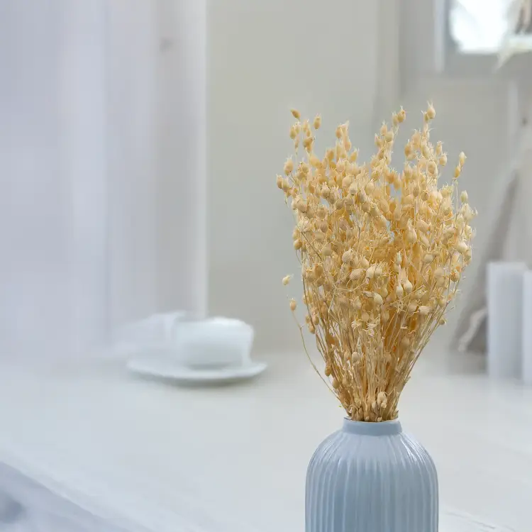 Silene Bielone 2.png