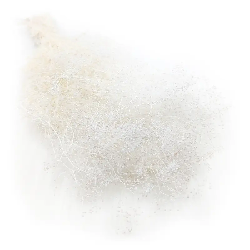 Gipsówka Mini Bielona.png