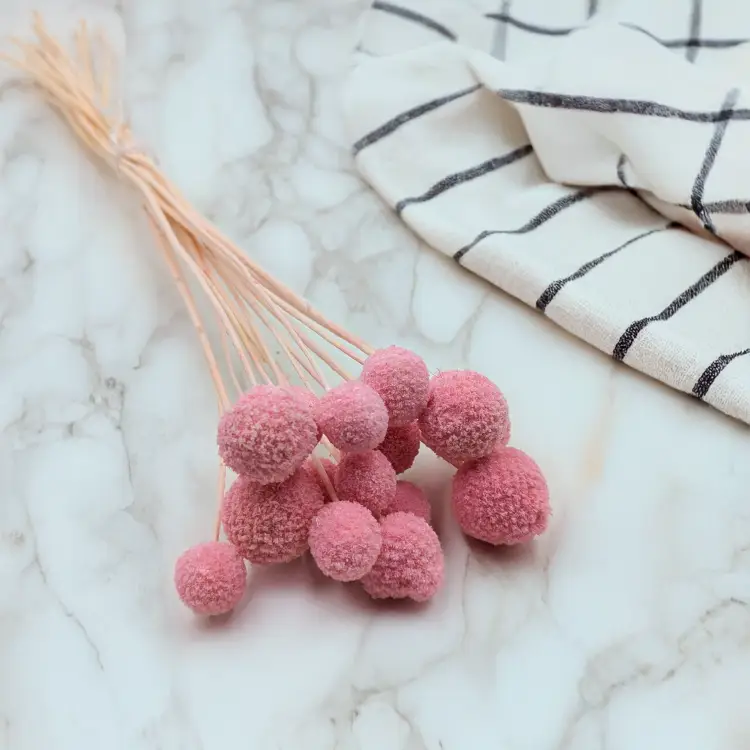 Craspedia różowa IT 1.png