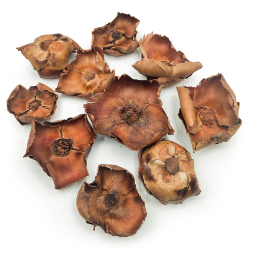 Palm Cup Natural paczka 2.png