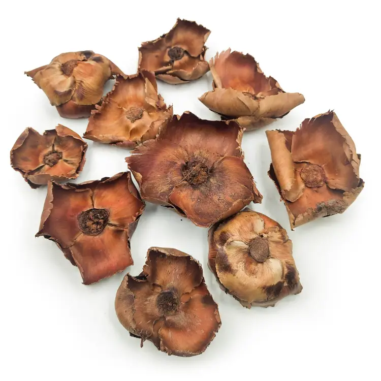 Palm Cup Natural paczka 2.png