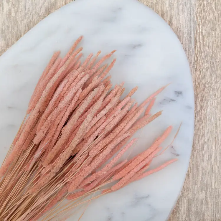 Tymotka - perłowy różowy 2.png