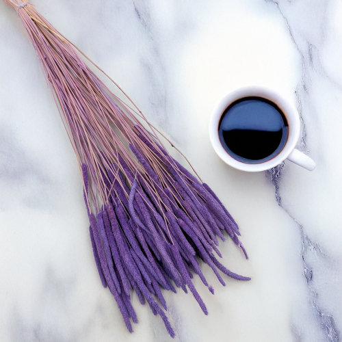 Tymotka - lila 1.png