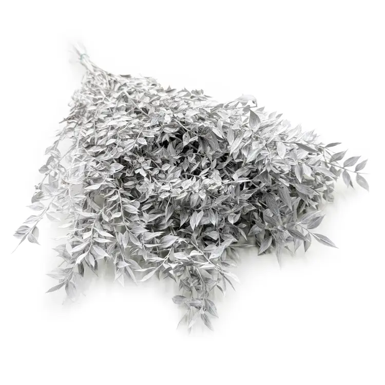 Ruskus Stabilizowany Matowy bielony.png