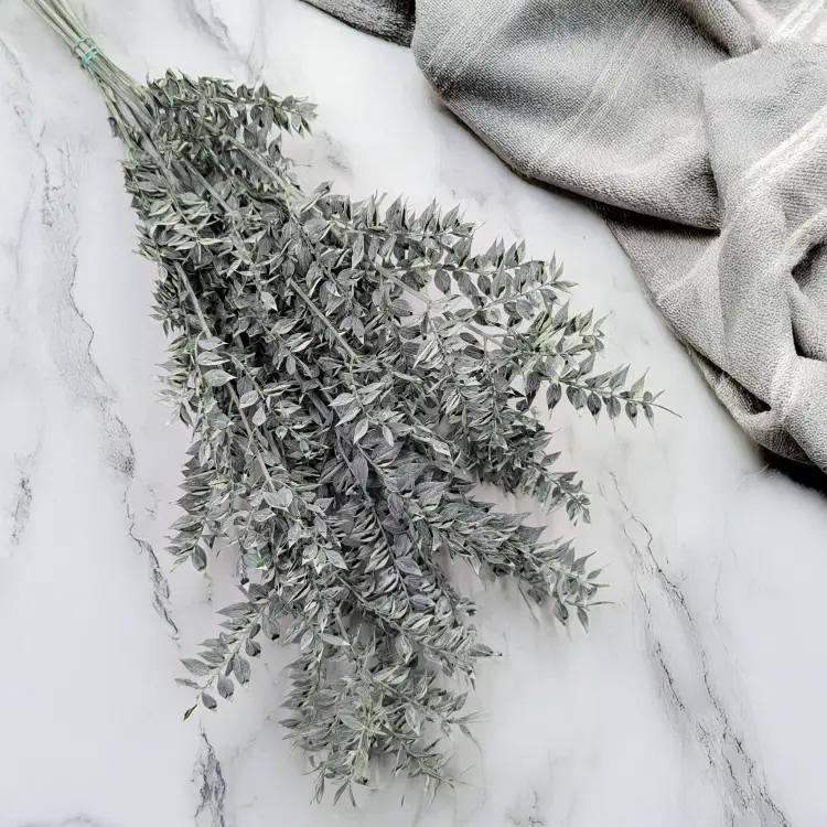 Ruskus bielony matowy zielony 1.png