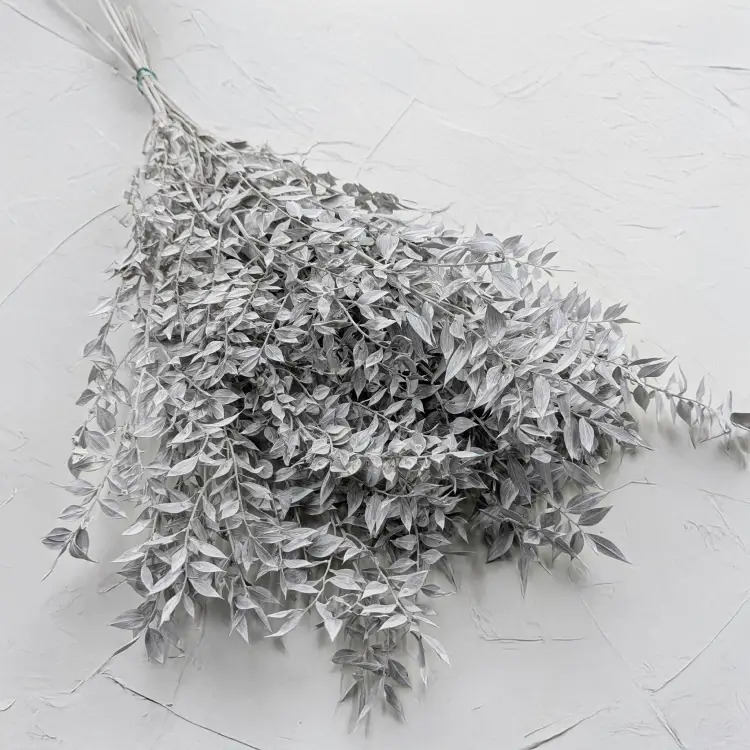 Ruskus bielony matowy.png