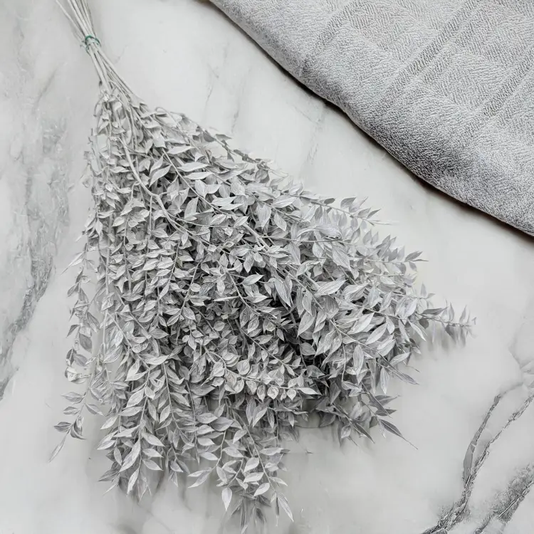 Ruskus bielony matowy 1.png