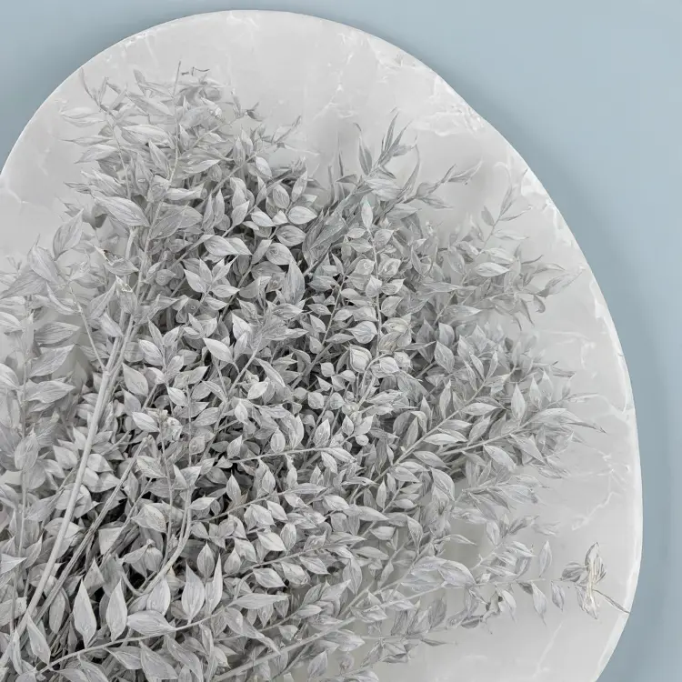 Ruskus bielony matowy 2.png