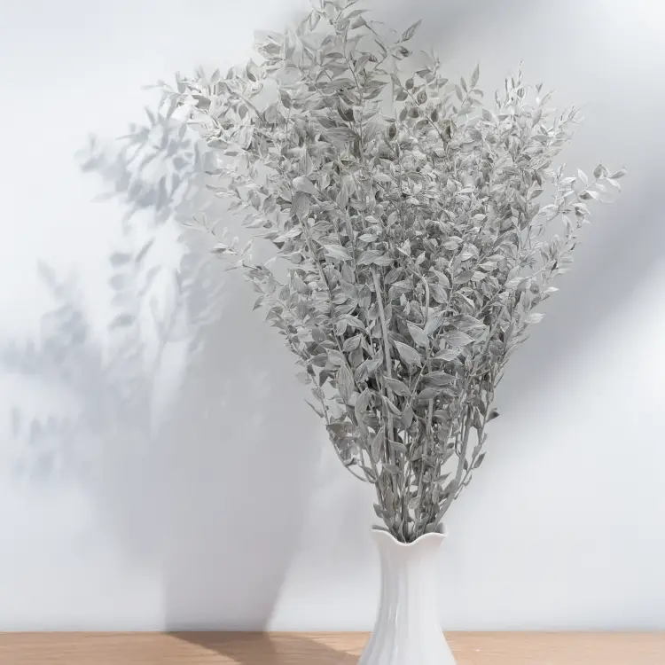 Ruskus bielony matowy 3.png