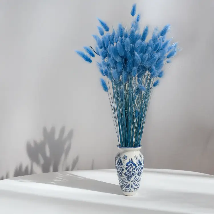 Lagurus Azzurro 3.png