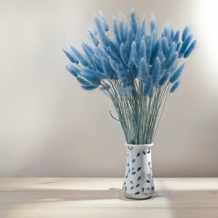 Lagurus błękitny 4.png