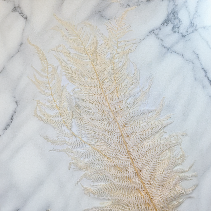 Pergaminowa duża bielona 4.png