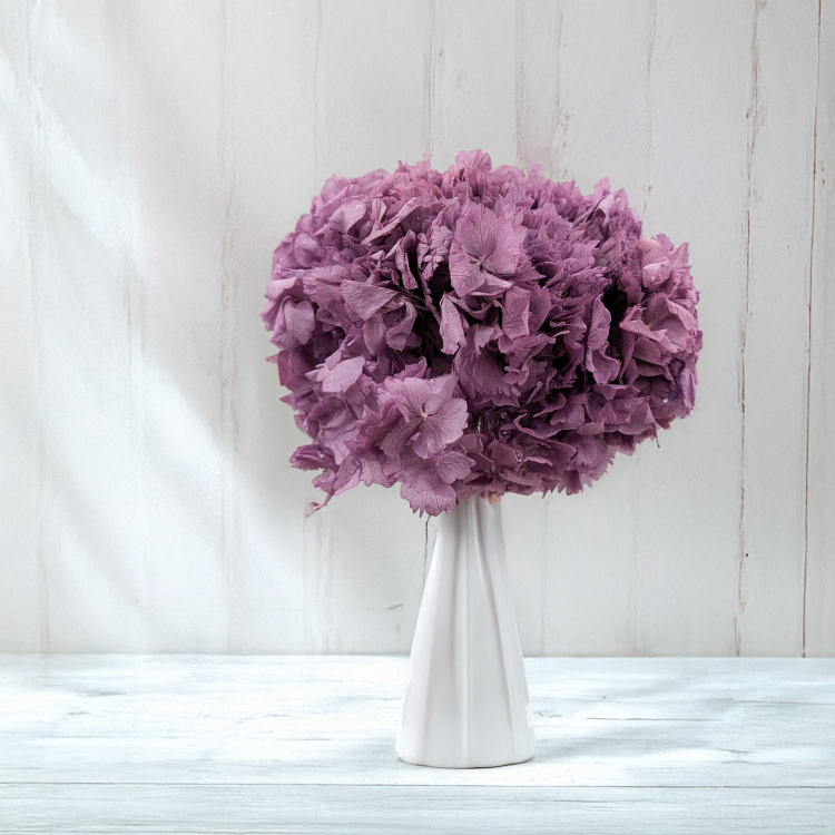 Hortensja stabilizowana fioletowa 2.png