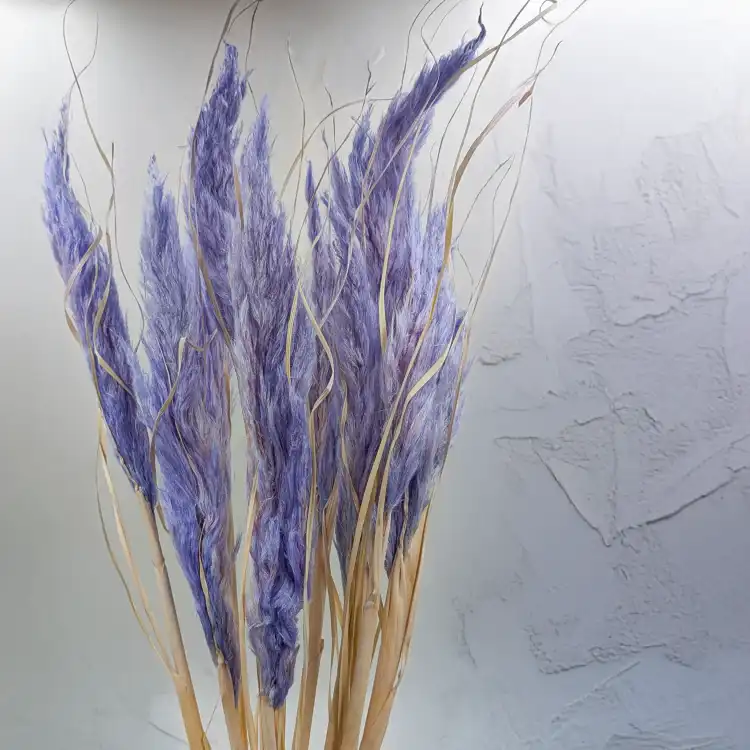 Mini pampas lawendowy 4.png