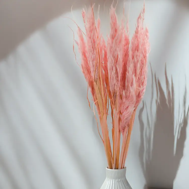 Mini pampas różowy perłowy 3.png