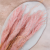 Mini pampas różowy perłowy 2.png