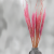 Mini pampas różowy 3.png