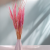 Mini pampas różowy 4.png