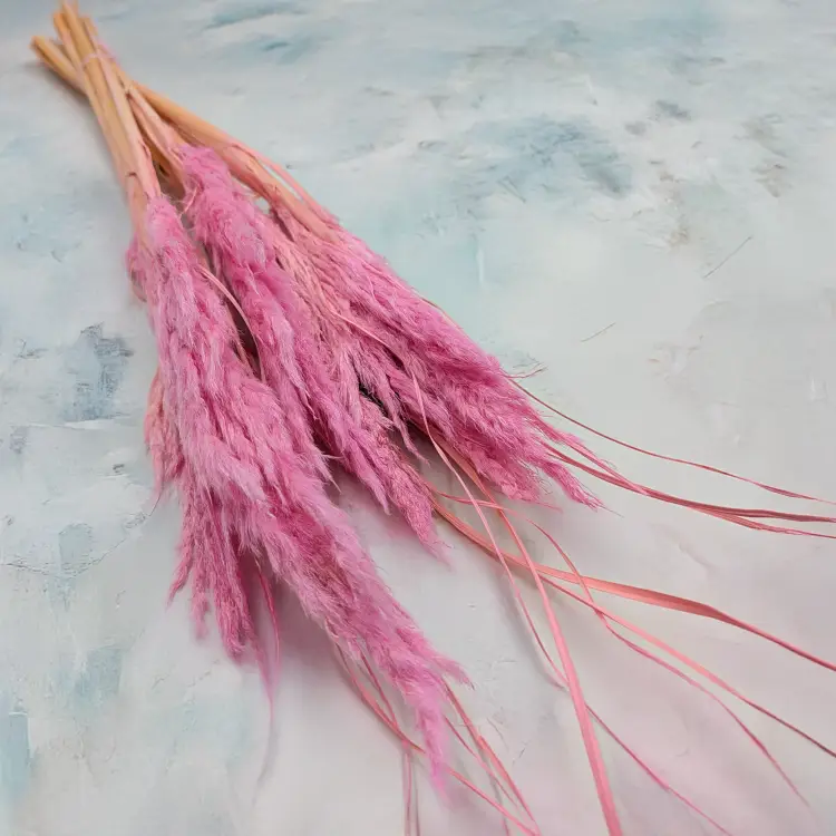 Mini pampas różowy.png