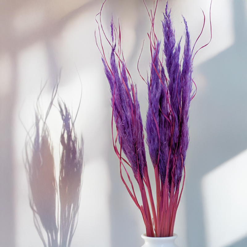 Mini pampas lila 3.png