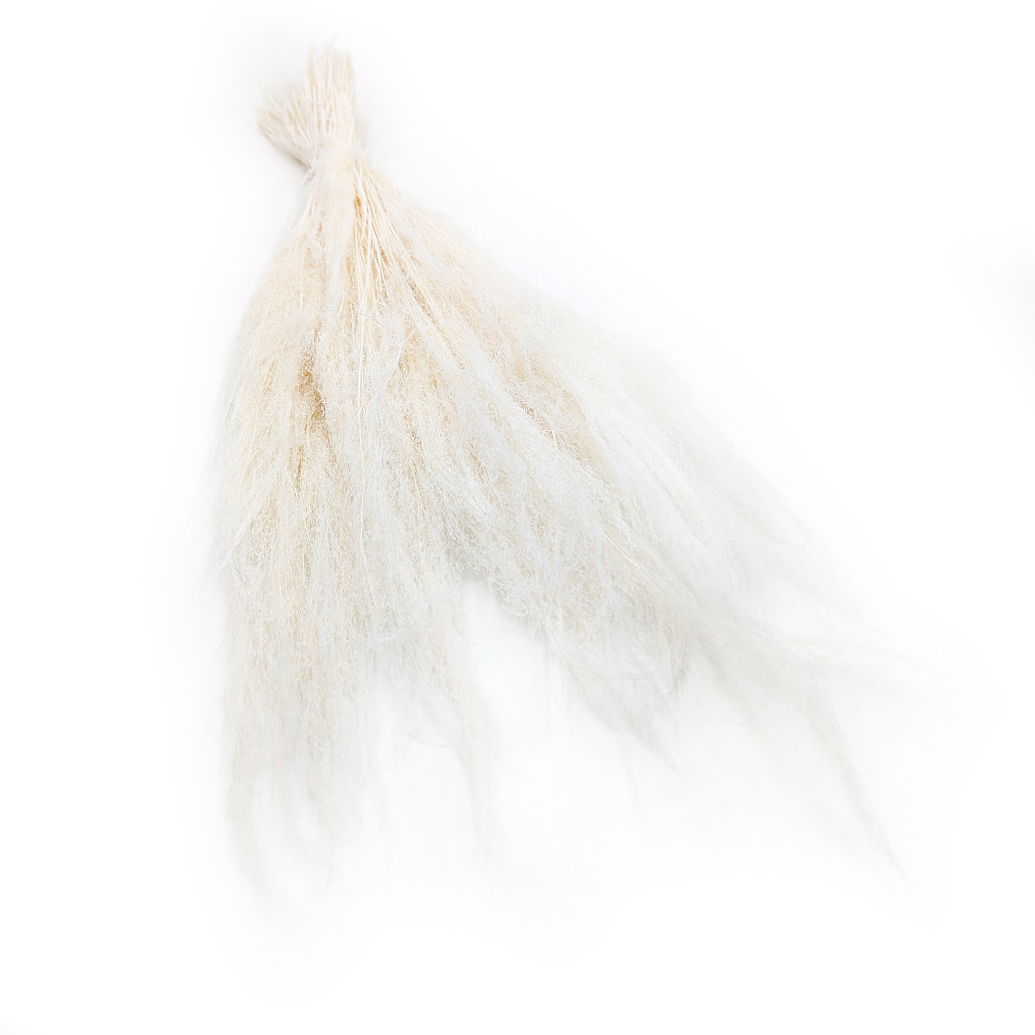 Dried Agrostis Grass – Bleached