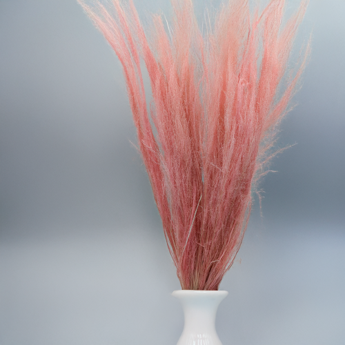 Agrostis jasnoróżowy 3.png