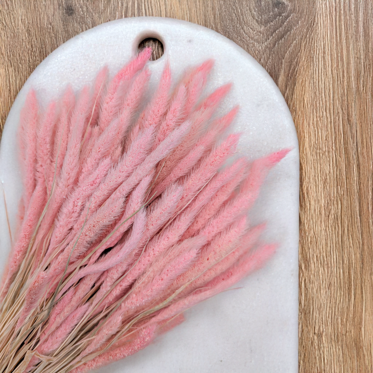 Setaria pastelowy róż 2.png