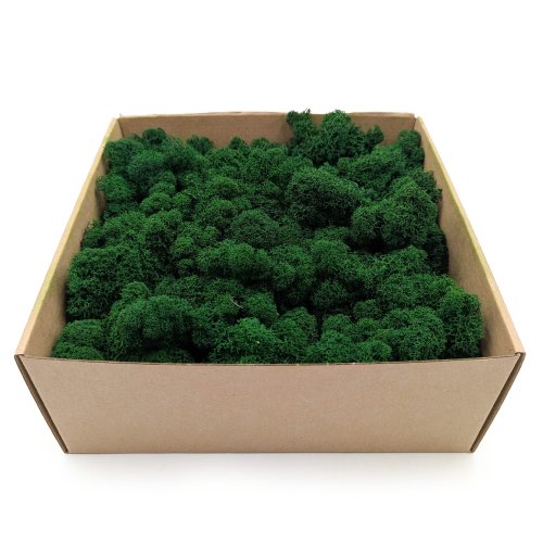 mech Chrobotek Alpejski lesny Zielony 2.png