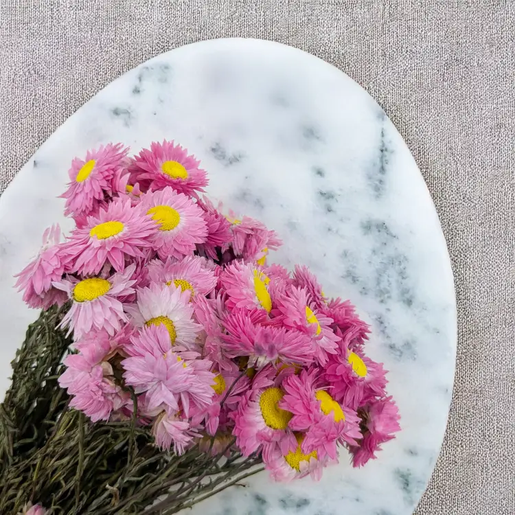 Suchlin różowy S 2.png